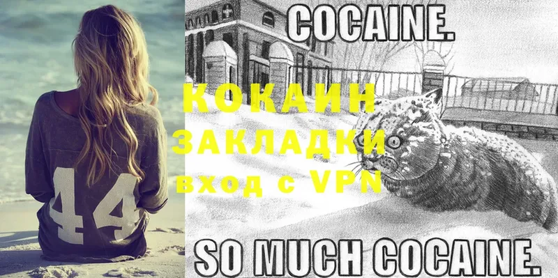 где купить наркоту  Берёзовка  COCAIN Эквадор 